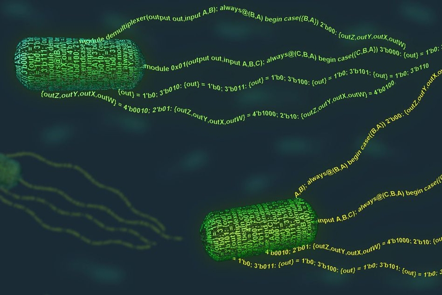 Bacteria